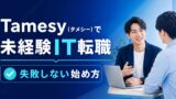 tamesy mikeiken it tenshoku eyecatch v2